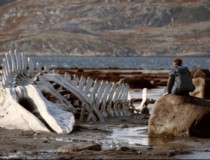 Still from Leviathan