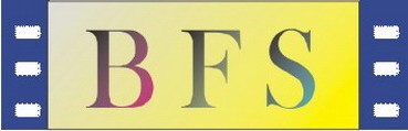 Bracknell FS logo
